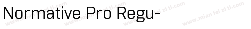 Normative Pro Regu字体转换